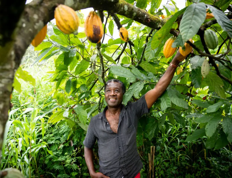 Human Rights along the Value Chain.