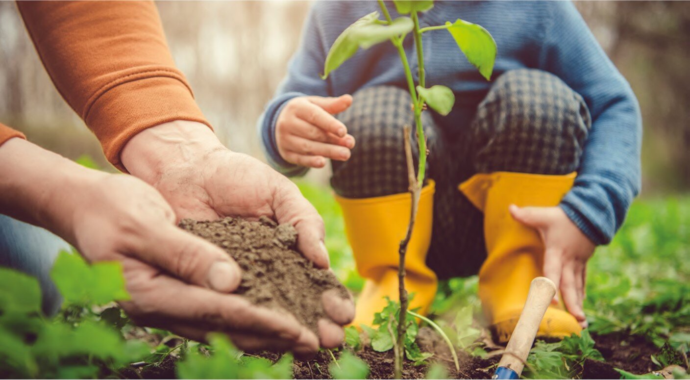 Sustainability Net Positive