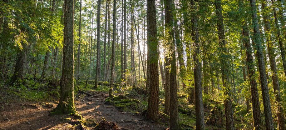 Sustainability Planet 03