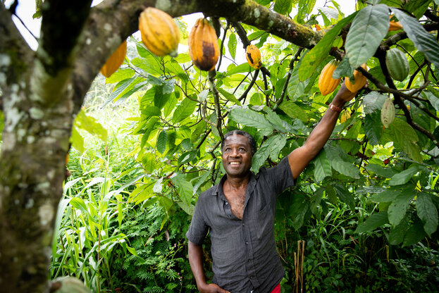 Cocoa farmer approvvigionamento responsabile