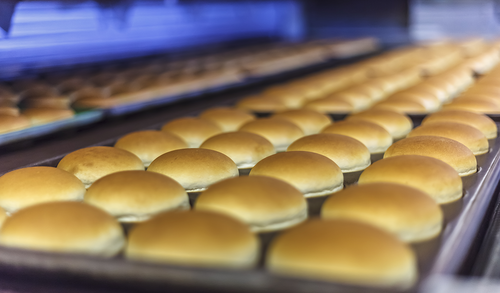 production industrie pain burger.