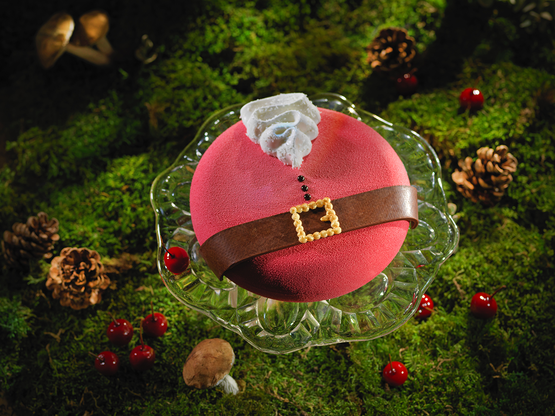 buche creation pere noel.