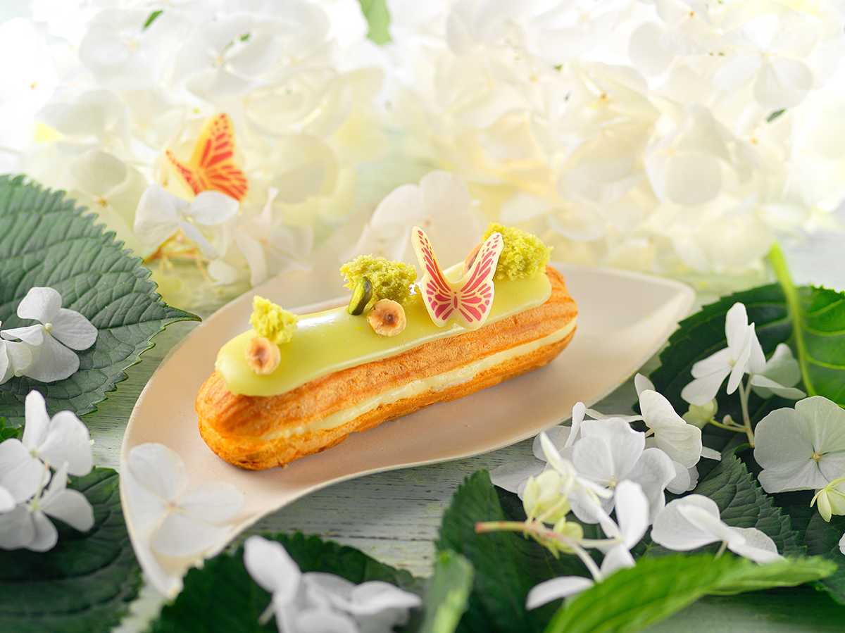 eclair fondant colore.