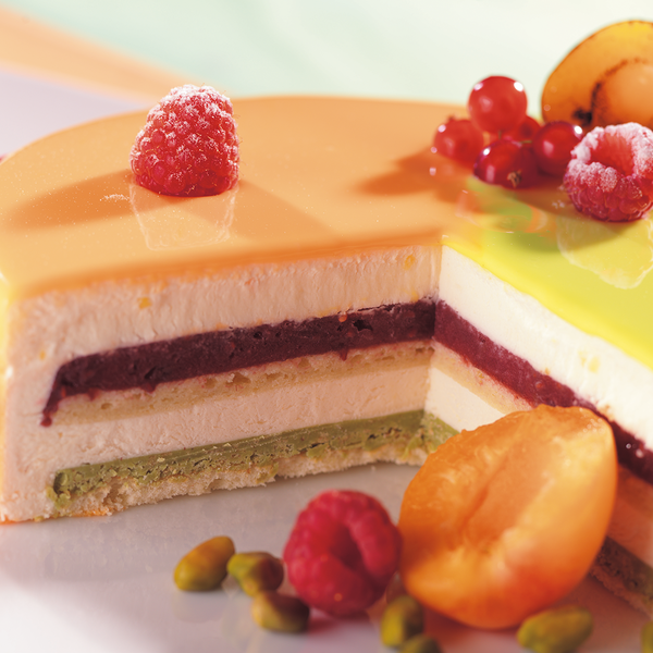 mousse abricot morceau 2.