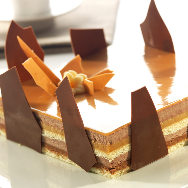 entremets chocolat bavaria.
