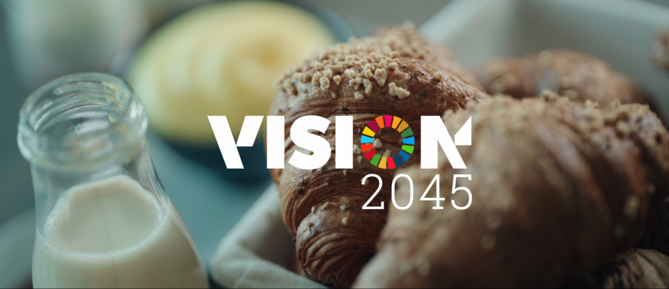 Immagine Vision 2045