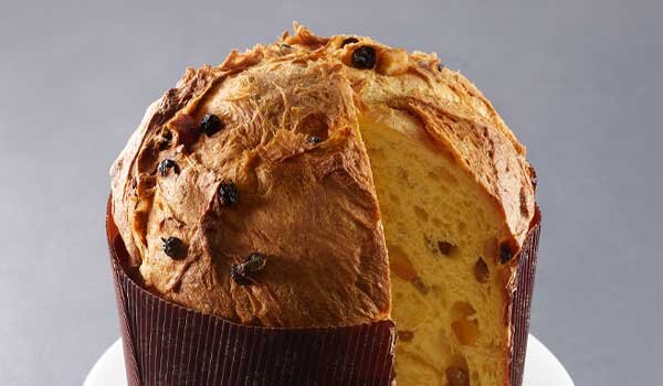 SOL panettone mixes application panettone 600x350