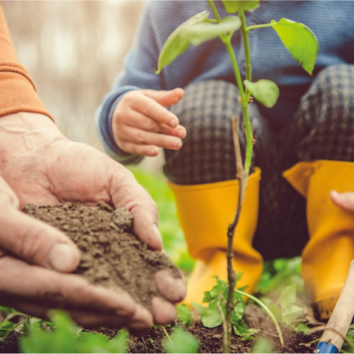 benefit bettor for the planet