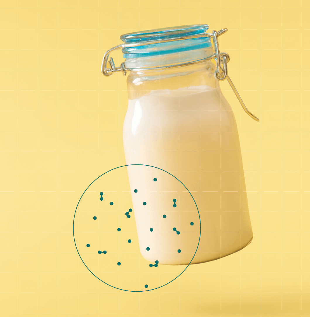 Casein micelles  by precision fermentation.